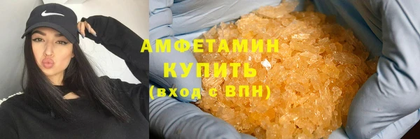 прущие грибы Баксан