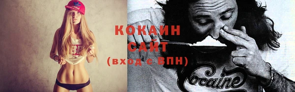 прущие грибы Баксан
