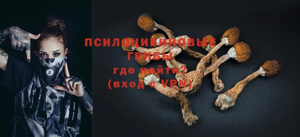 PSILOCYBIN Балахна