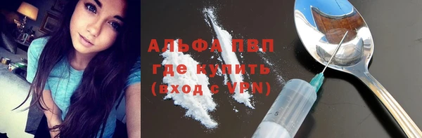 мяу мяу мука Аркадак