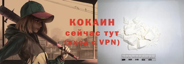 прущие грибы Баксан