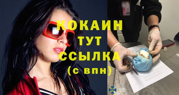 дживик Арсеньев