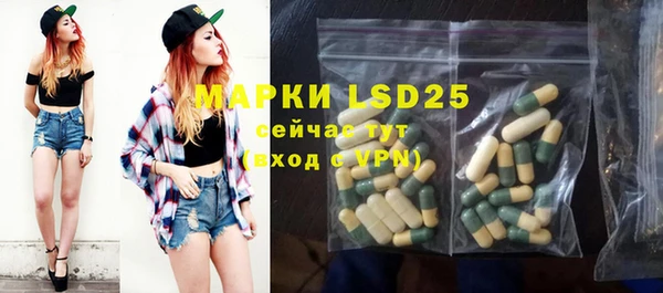 мяу мяу мука Аркадак