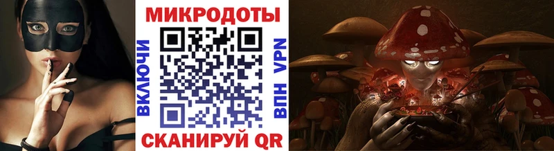 Галлюциногенные грибы Psilocybe  Карабулак 